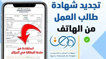 تجديد منحة البطالة الجزائر إلكترونياً 2025 بخطوات جديدة بسيطة