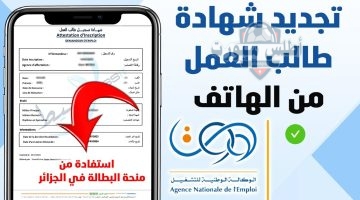 تجديد منحة البطالة كل 6 أشهر