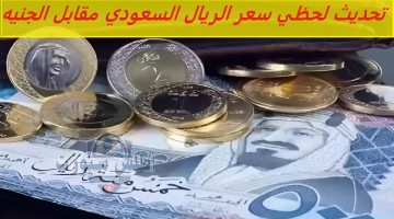 تحديث لحظي سعر الريال السعودي مقابل الجنيه