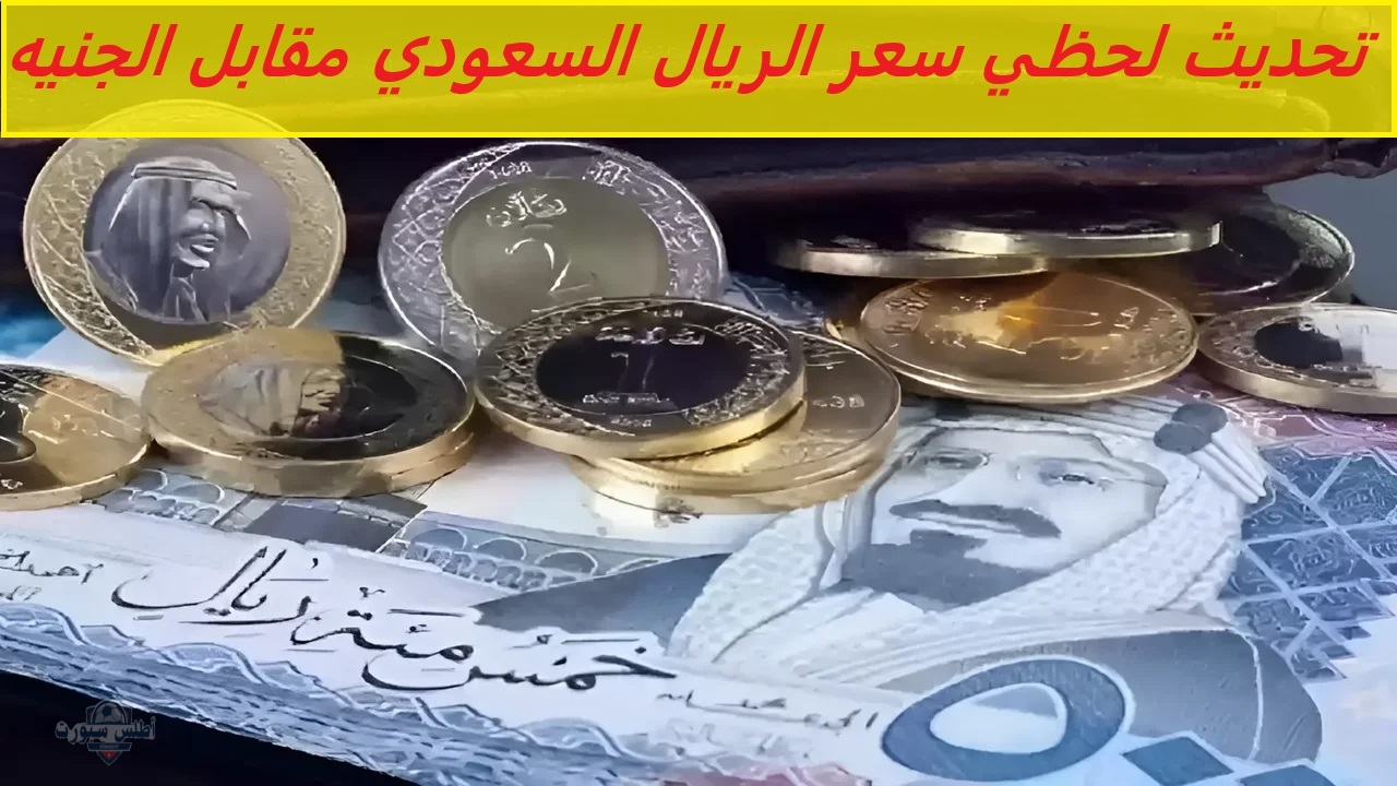 تحديث لحظي .. سعر الريال السعودي مقابل الجنيه المصري اليوم في البنوك الرسمية يشهد استقرارًا ملحوظًا 2 تحديث لحظي .. سعر الريال السعودي مقابل الجنيه المصري اليوم في البنوك الرسمية يشهد استقرارًا ملحوظًا