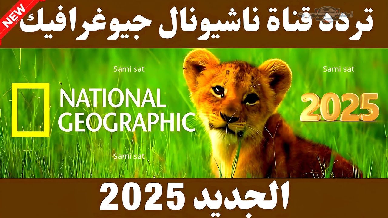 تردد قناة ناشيونال جيوغرافيك الجديد 2025 على النايل سات وعرب سات 2 تردد قناة ناشيونال جيوغرافيك الجديد 2025 على النايل سات وعرب سات