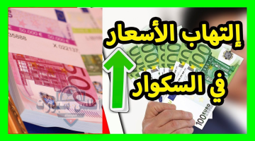 تصميم بدون عنوان 50