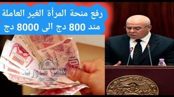 رابط رسمي التسجيل في منحة المرأة الماكثة بالبيت 2025 بعد الزيادة الوكالة الوطنية للتشغيل