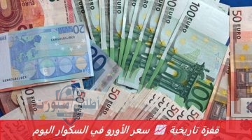 سعر الأورو في السكوار اليوم يواصل الارتفاع
