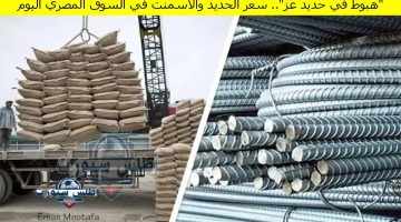 سعر الحديد والأسمنت في السوق المصري اليوم
