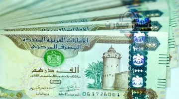 سعر الدرهم الإماراتي مقابل الجنيه المصري اليوم السبت 12 أبريل