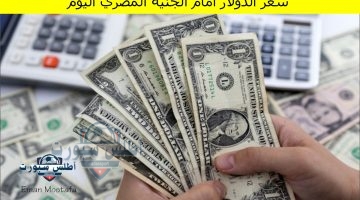 سعر الدولار أمام الجنيه المصري اليوم 1