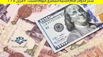 سعر الدولار أمام الجنيه المصري اليوم