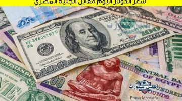 سعر الدولار اليوم مقابل الجنيه المصري
