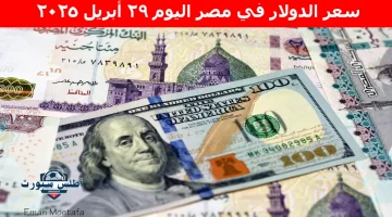 سعر الدولار في مصر اليوم 1
