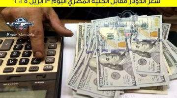 سعر الدولار مقابل الجنيه المصري اليوم 13 أبريل 2025
