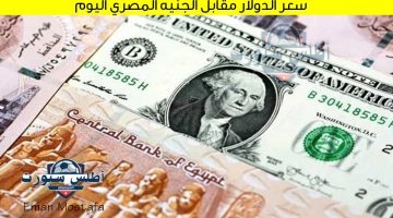 سعر الدولار مقابل الجنيه المصري اليوم