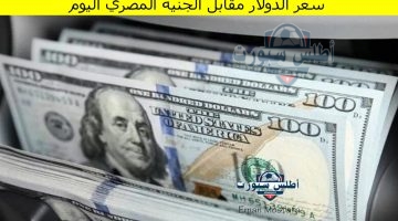 سعر الدولار مقابل الجنيه المصري اليوم 4