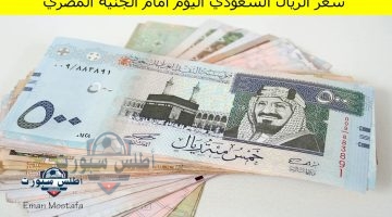 سعر الريال السعودي اليوم أمام الجنيه المصري