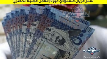 سعر الريال السعودي اليوم مقابل الجنيه المصري