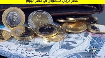 سعر الريال السعودي في مصر اليوم