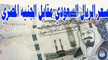 سعر الريال السعودي مقابل الجنيه المصري 12 أبريل 2025