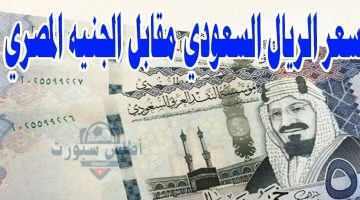 سعر الريال السعودي مقابل الجنيه المصري