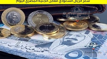 سعر الريال السعودي مقابل الجنيه المصري اليوم