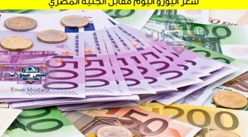 سعر اليورو اليوم مقابل الجنيه المصري