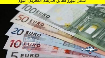 سعر اليورو مقابل الدرهم المغربي اليوم