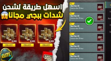 شحن شدات ببجي UC