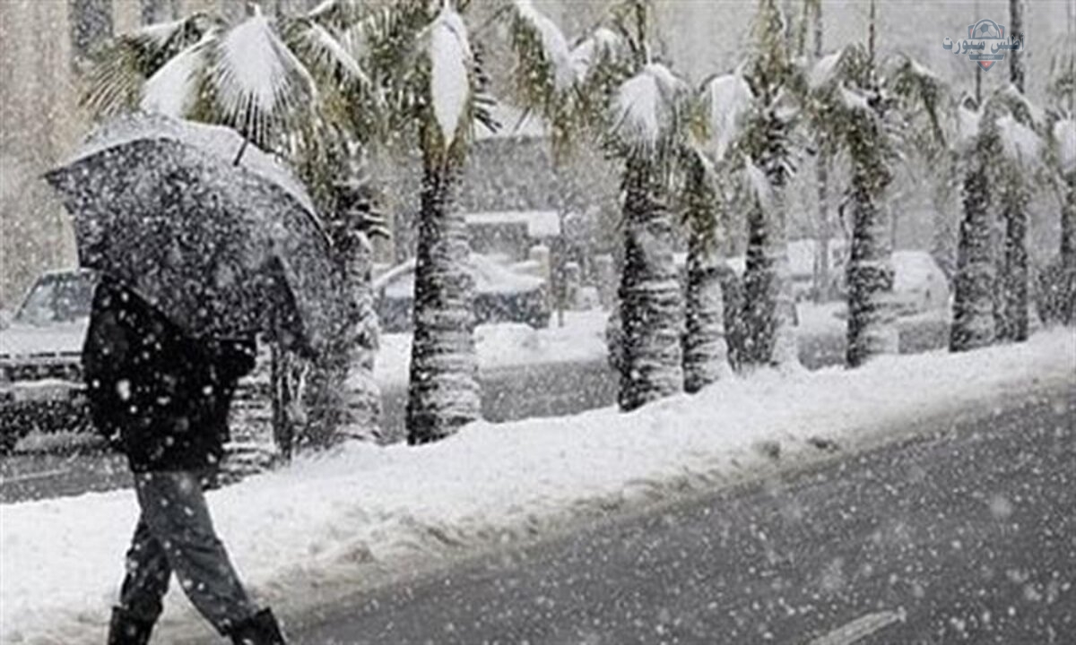 طقس الجزائر الديوان الوطني للأرصاد الجوية أمطار رعدية غزيرة وعواصف رملية على 29 ولاية 2 طقس الجزائر الديوان الوطني للأرصاد الجوية أمطار رعدية غزيرة وعواصف رملية على 29 ولاية