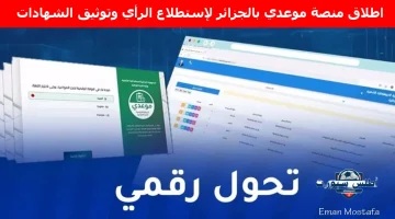 منصة موعدي بالجزائر