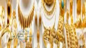 images 11
