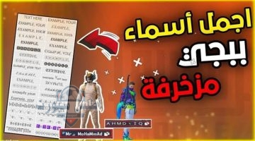 أسماء ببجي مزخرفة 2025