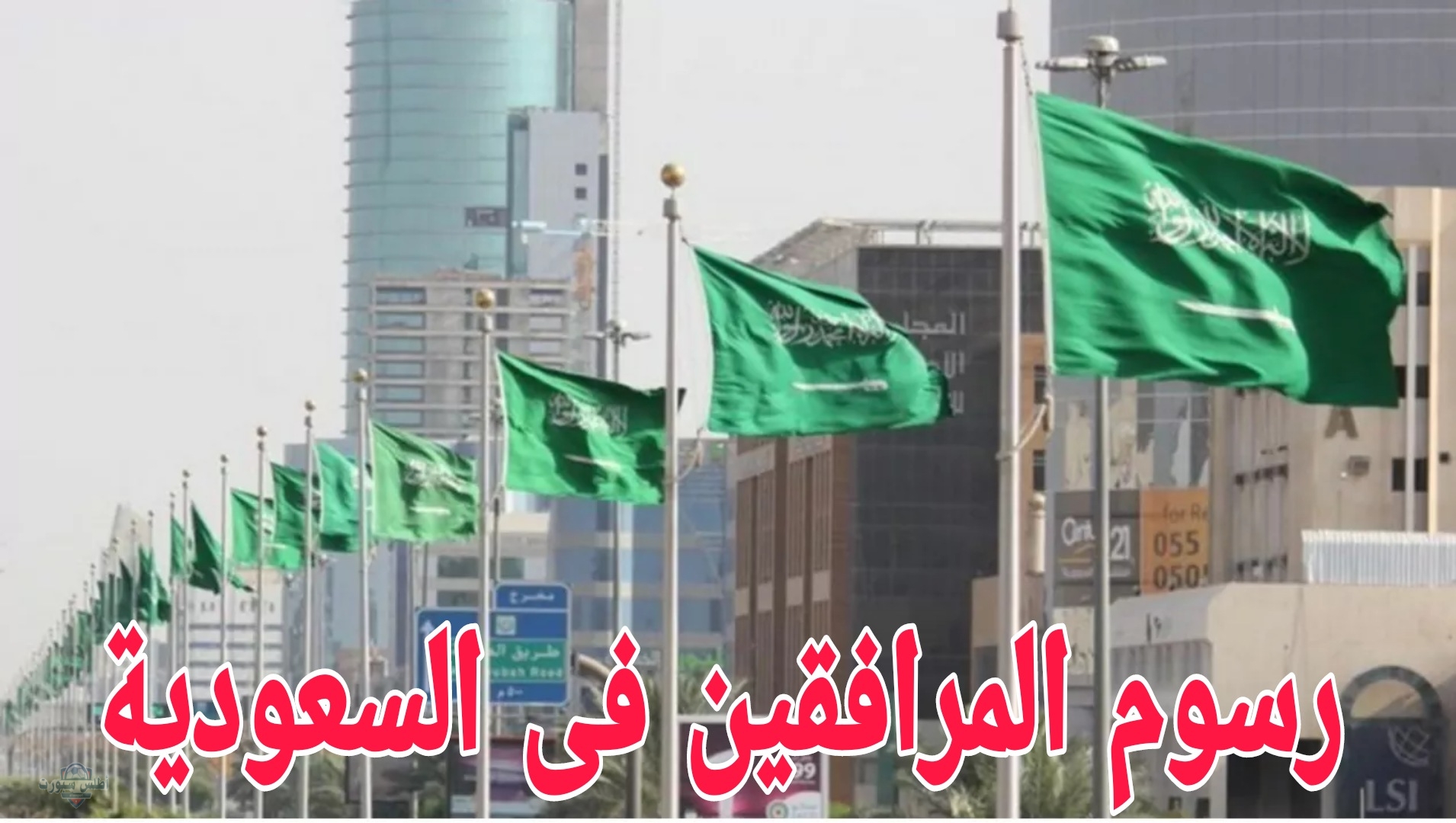 هل تم الغاؤها بالفعل ؟.. تفاصيل الاستعلام عن رسوم المرافقين بالمملكة 1446 وتوضيح حقيقة الغاؤها 2 هل تم الغاؤها بالفعل ؟.. تفاصيل الاستعلام عن رسوم المرافقين بالمملكة 1446 وتوضيح حقيقة الغاؤها