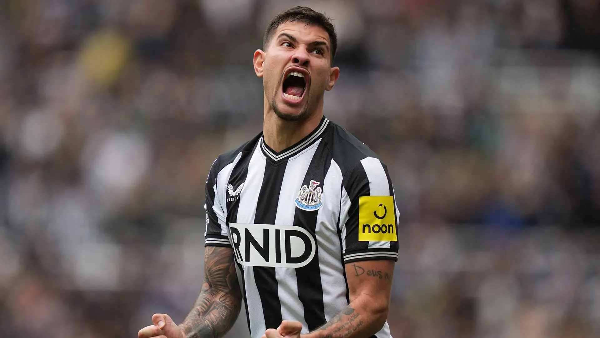 برونو جيماريش ضمن أهداف الهلال واتحاد جدة الموسم الجديد 2 برونو جيماريش ضمن أهداف الهلال واتحاد جدة الموسم الجديد
