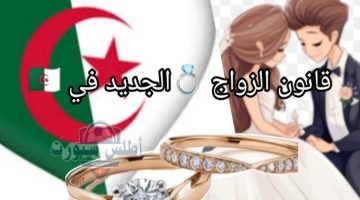 جج