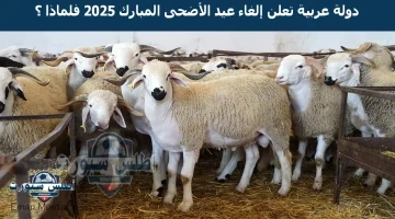دولة عربية تعلن إلغاء عيد الأضحى المبارك 2025