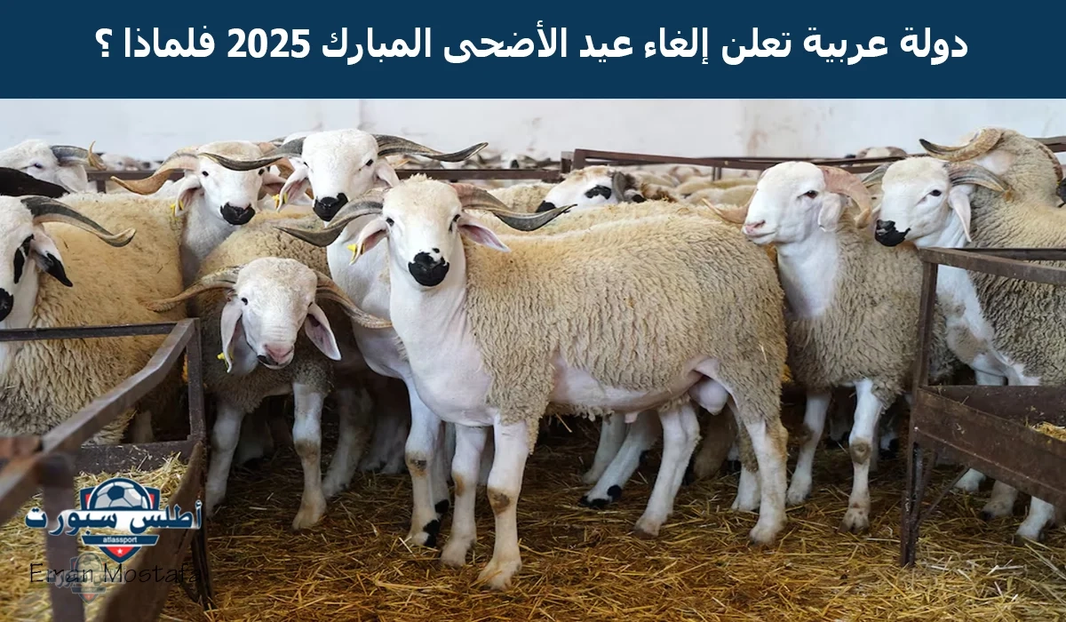"لأول مرة في التاريخ".. دولة عربية تعلن إلغاء عيد الأضحى المبارك 2025 لأول مرة في الإسلام لهذه الأسباب ؟! 2 “لأول مرة في التاريخ”.. دولة عربية تعلن إلغاء عيد الأضحى المبارك 2025 لأول مرة في الإسلام لهذه الأسباب ؟!
