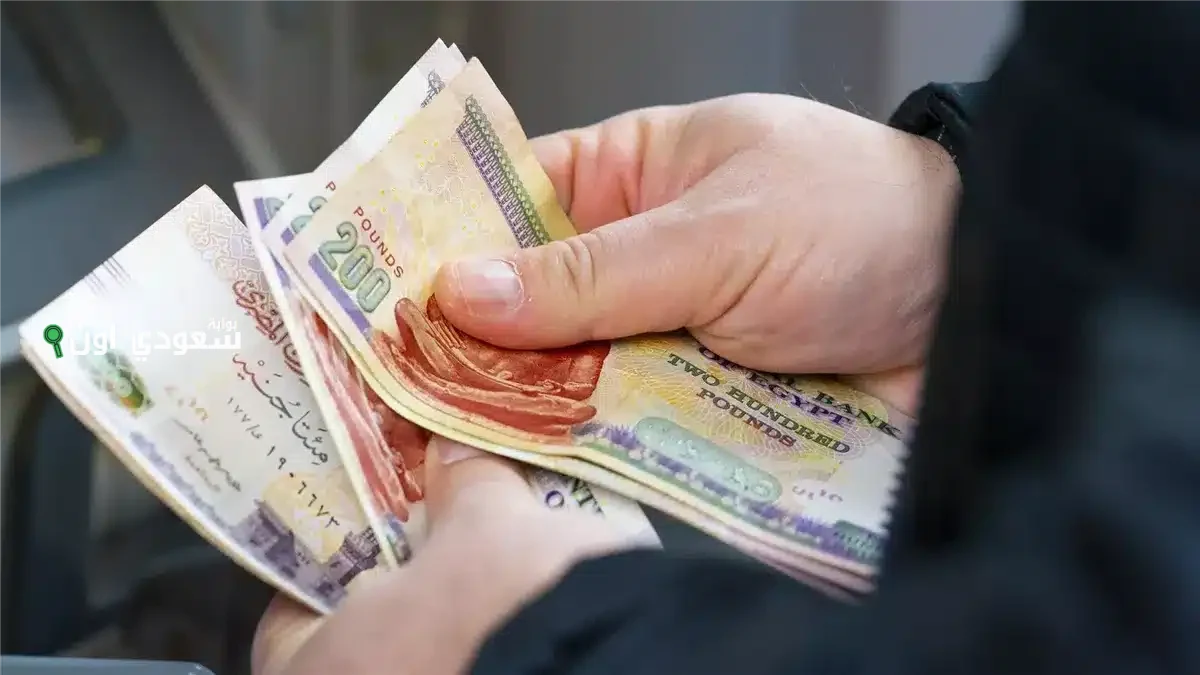 التأمينات الاجتماعية توضح تفاصيل زيادة معاشات يونيو 2025