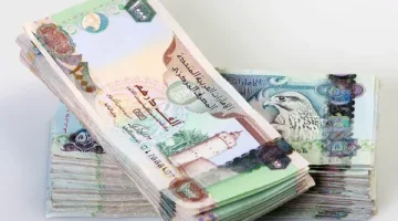 سعر الدرهم الإماراتي 1