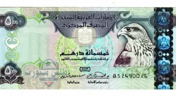 سعر الدرهم الإماراتي مقابل الجنيه 1