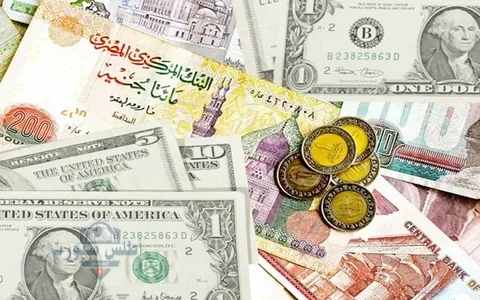 سعر الدولار اليوم في مصر السبت 17 مايو مقابل الجنيه المصري في جميع البنوك 2 سعر الدولار اليوم في مصر السبت 17 مايو مقابل الجنيه المصري في جميع البنوك