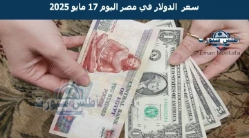 سعر الدولار في مصر اليوم 17 مايو 2025