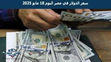 سعر الدولار في مصر اليوم 18 مايو 2025