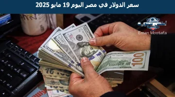 سعر الدولار في مصر اليوم 19 مايو 2025