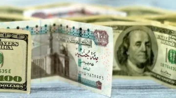 سعر الدولار مقابل الجنيه المصري