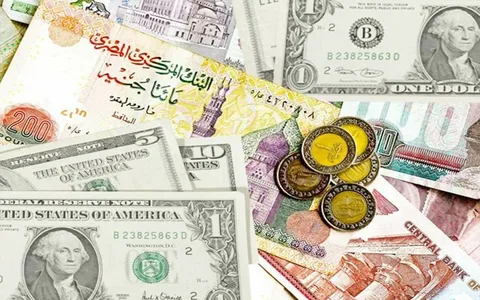 سعر الدولار مقابل الجنيه المصري اليوم 19 مايو 2025 2 سعر الدولار مقابل الجنيه المصري اليوم 19 مايو 2025