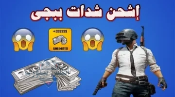 شحن شدات ببجي 3