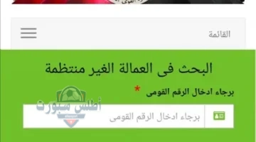 منحة العمالة غير المنتظمة 2