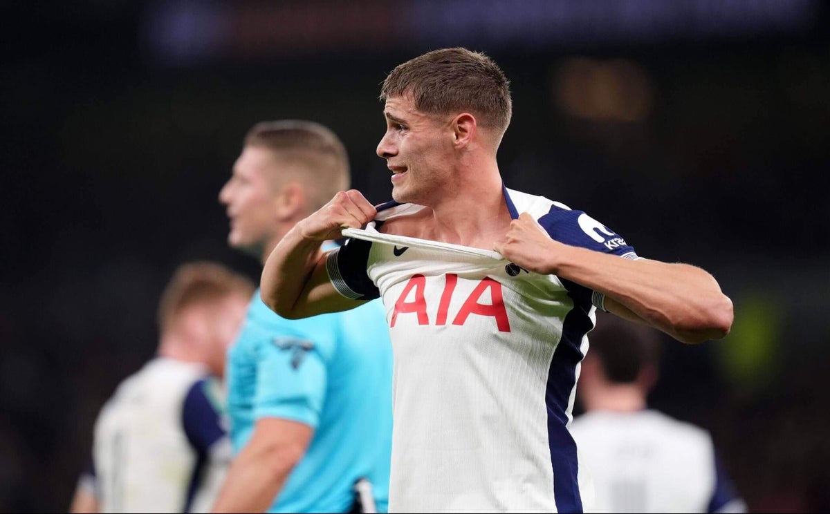 لاعب توتنهام نستحق التتويج بالألقاب وحان وقت التغيير 2 لاعب توتنهام نستحق التتويج بالألقاب وحان وقت التغيير
