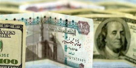 سعر الدولار اليوم الأحد 23 فبراير 2025 وفق أحدث البيانات - شبكة أطلس سبورت