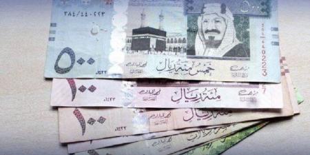 لو ناوي تعمل عمرة.. سعر الريال السعودي مقابل الجنيه اليوم الإثنين 24 فبراير 2025 - شبكة أطلس سبورت