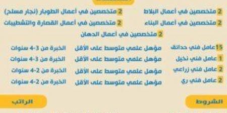 راتب يصل 390 دينار شهريًا.. وزارة العمل تعلن عن وظائف للكوادر المصرية بالأردن - شبكة أطلس سبورت